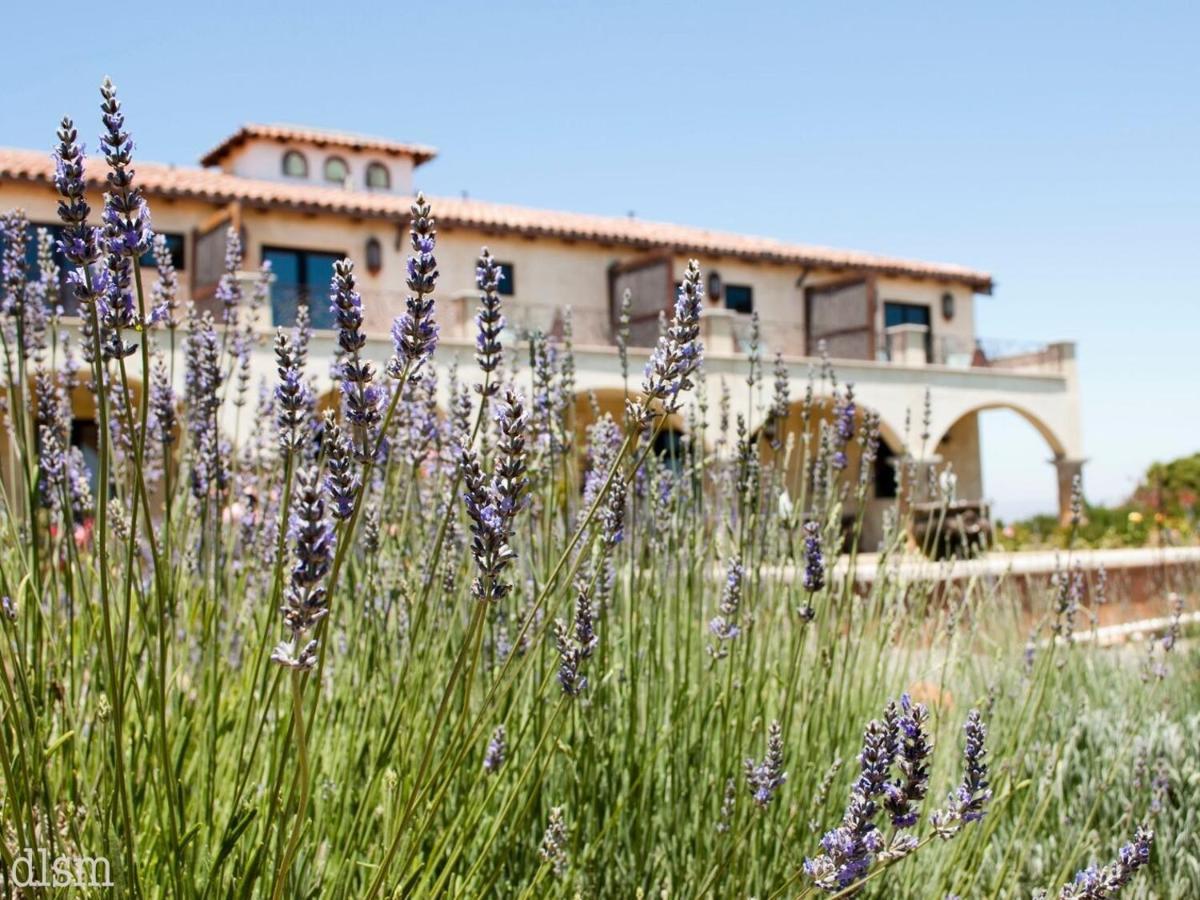 La Villa Del Valle Valle de Guadalupe Exterior photo